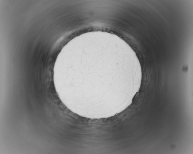 X0000113140776200910161154