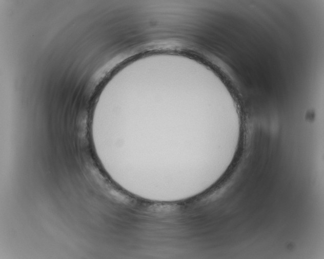 X0000113140778200910161154