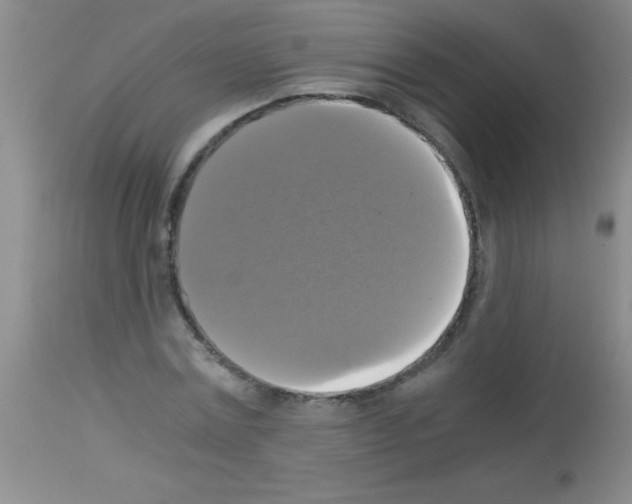 X0000113140779200910161154