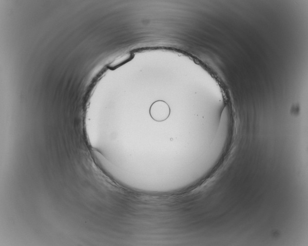 X0000113140781200910161154