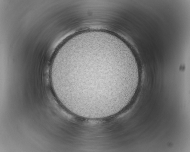 X0000113140782200910161154