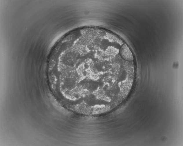 X0000113140783200910161154