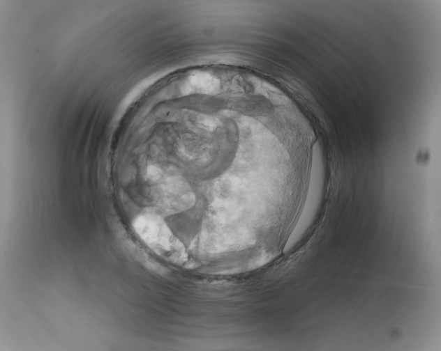 X0000113140784200910161154