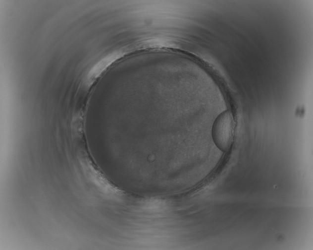 X0000113140785200910161154