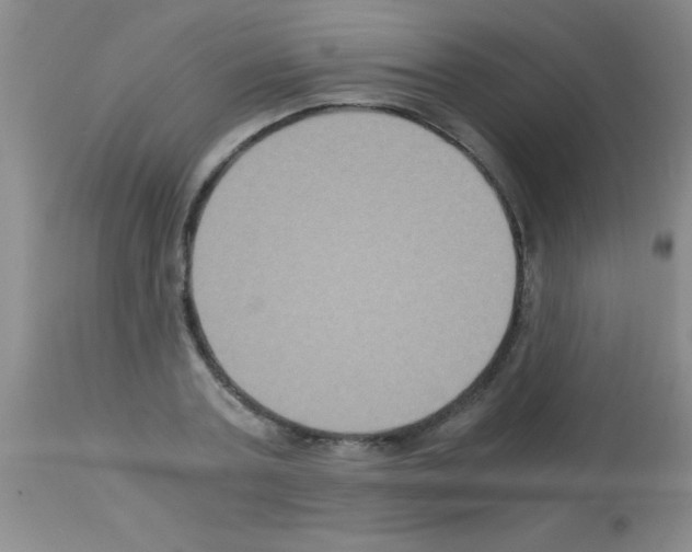 X0000113140787200910161154