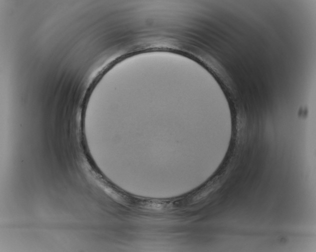 X0000113140790200910161154