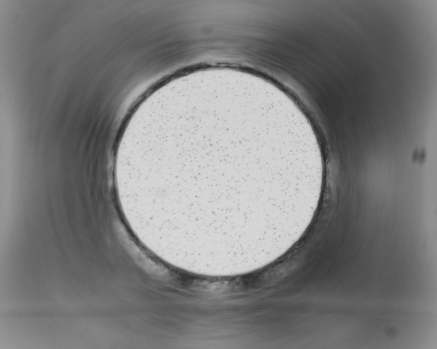 X0000113140791200910161154