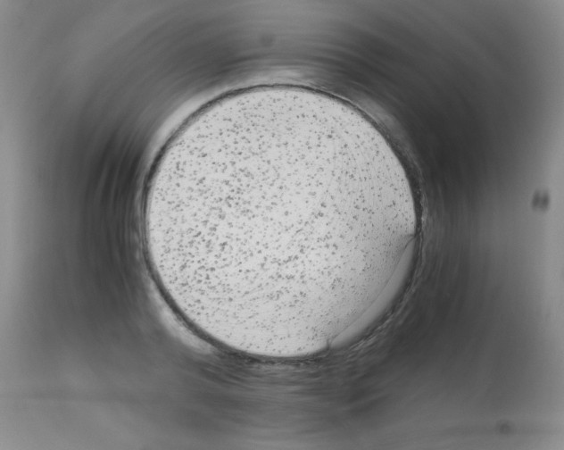 X0000113140792200910161154