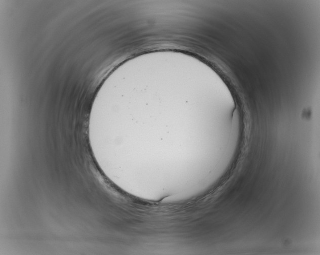 X0000113140793200910161154
