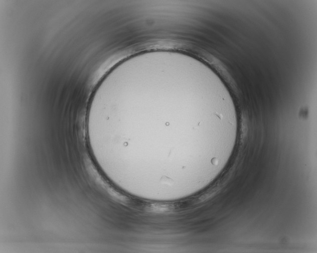X0000113140794200910161154