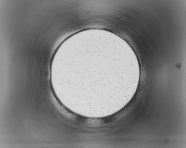 X0000113140795200910161154