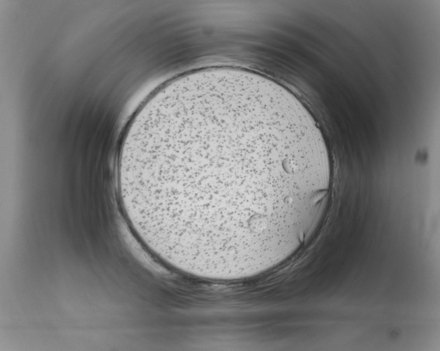 X0000113140796200910161154