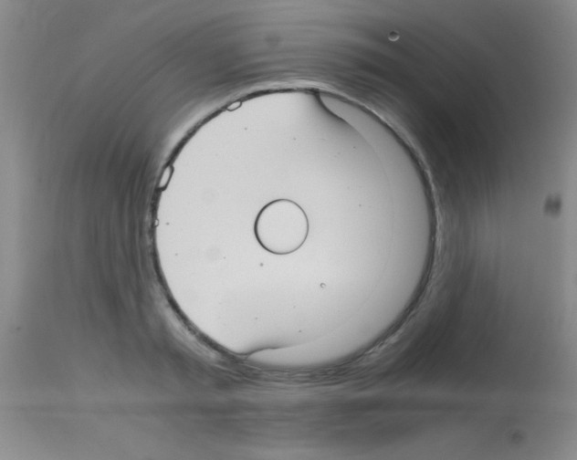 X0000113140797200910161154