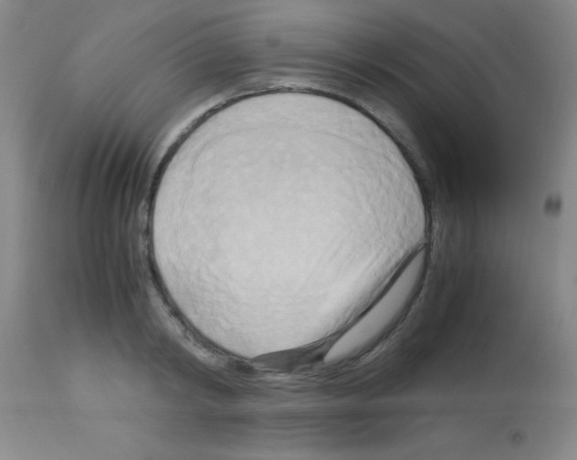 X0000113140798200910161154