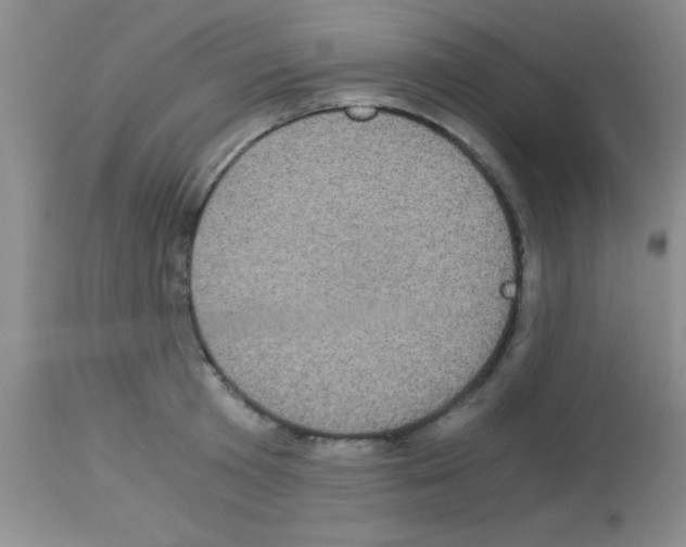 X0000113140801200910161154