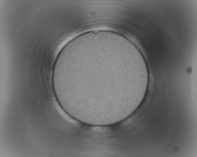 X0000113140805200910161154