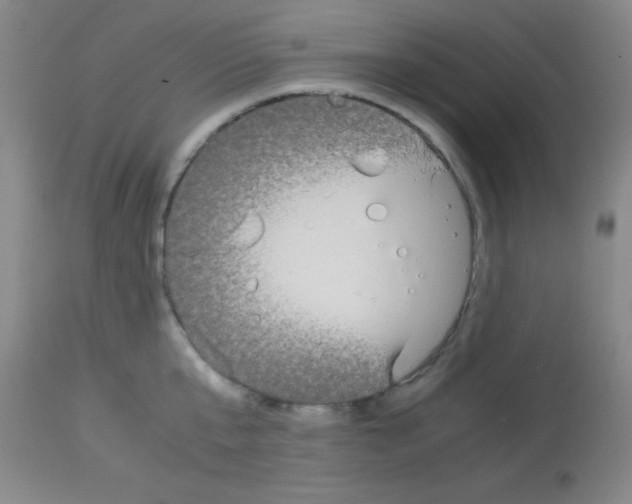 X0000113140807200910161154