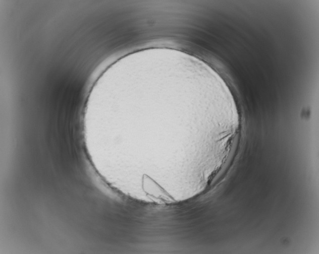 X0000113140808200910161154