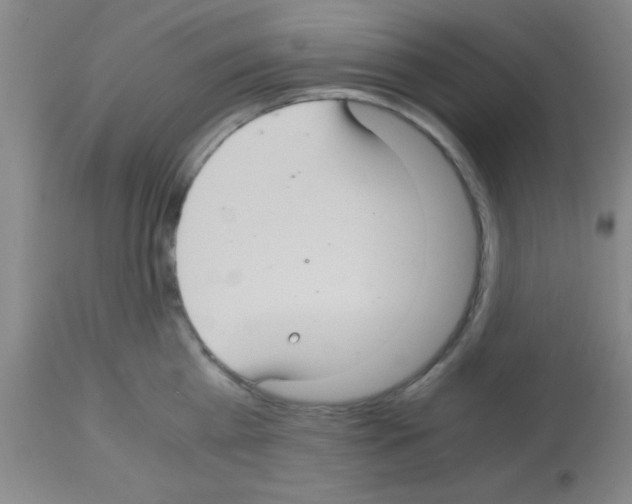 X0000113140809200910161154