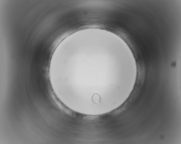 X0000113140810200910161154