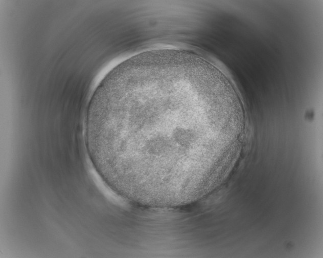 X0000113140811200910161154
