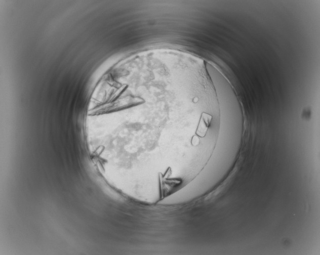 X0000113140812200910161154