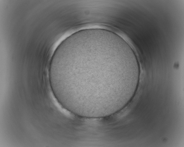 X0000113140813200910161154