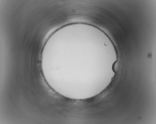 X0000113140815200910161154