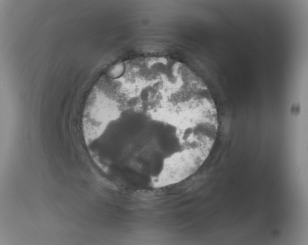 X0000113140817200910161153
