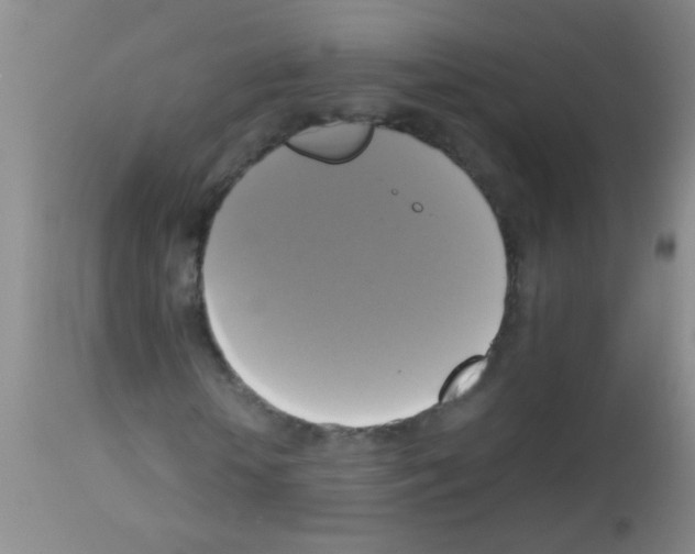 X0000113140818200910161153