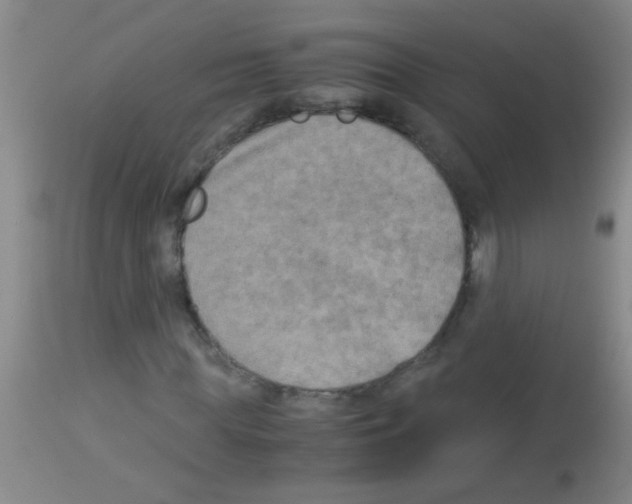 X0000113140819200910161153