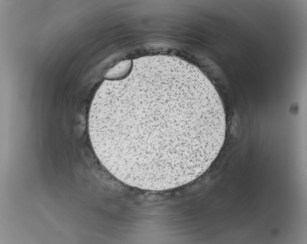 X0000113140821200910161153