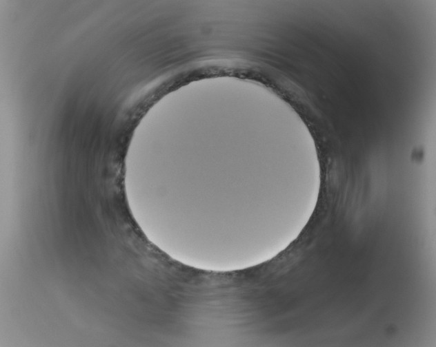 X0000113140822200910161153