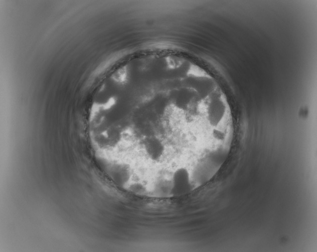X0000113140823200910161153