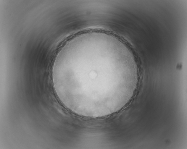 X0000113140824200910161153