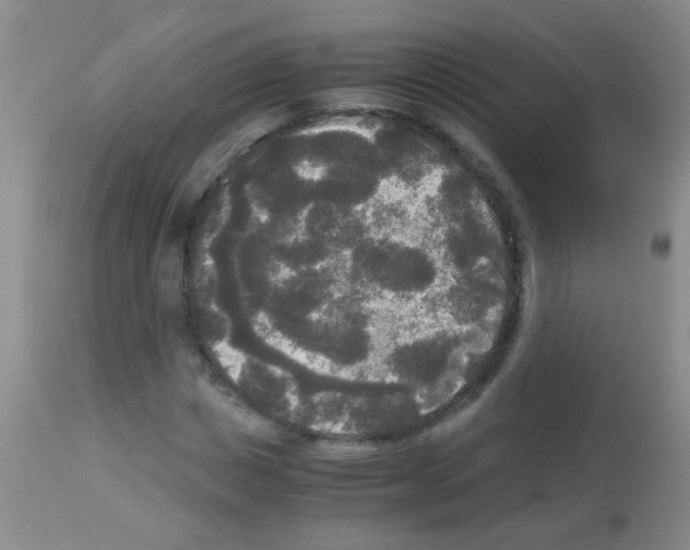 X0000113140825200910161153