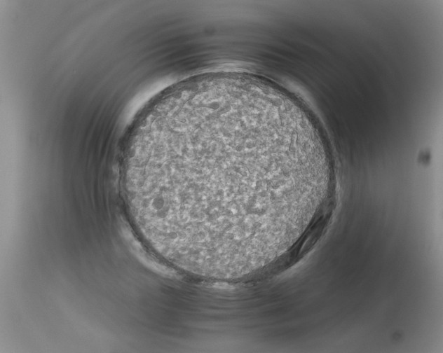 X0000113140827200910161153