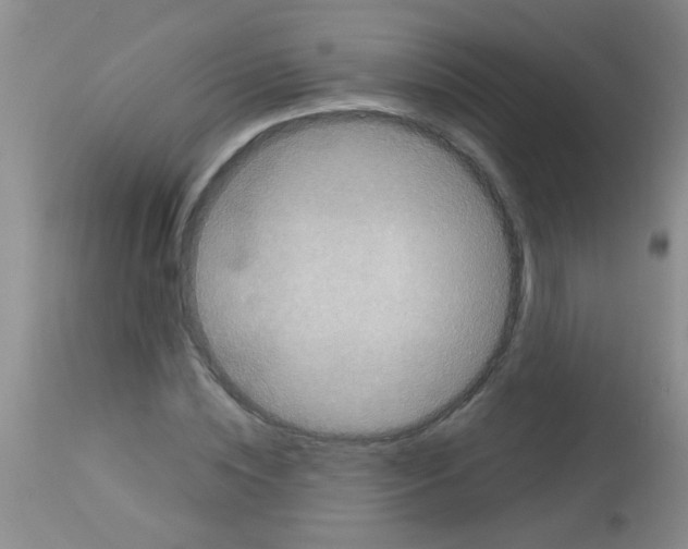 X0000113140828200910161153