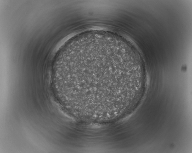 X0000113140829200910161153