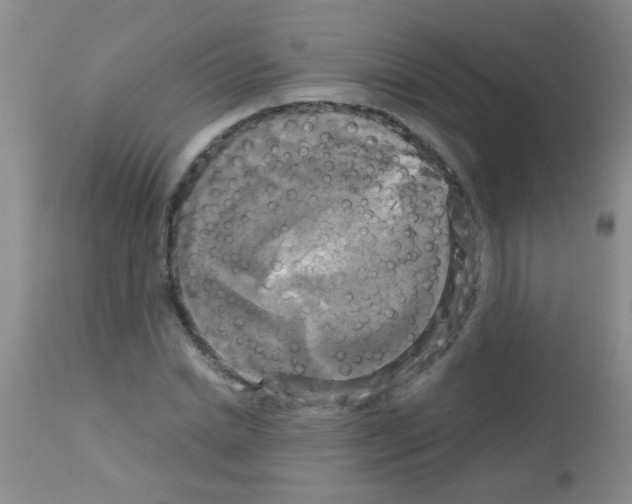 X0000113140830200910161153