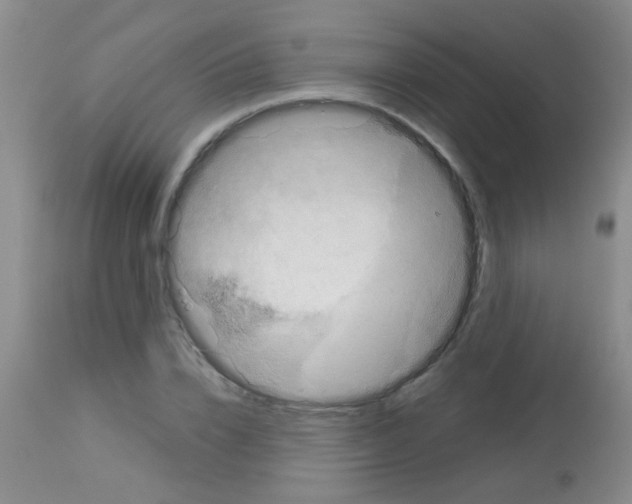 X0000113140832200910161153