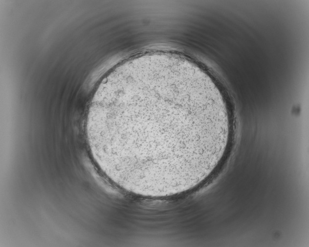X0000113140833200910161153