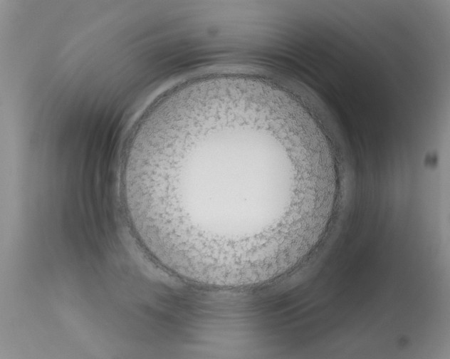 X0000113140836200910161153