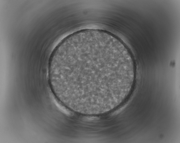 X0000113140837200910161153