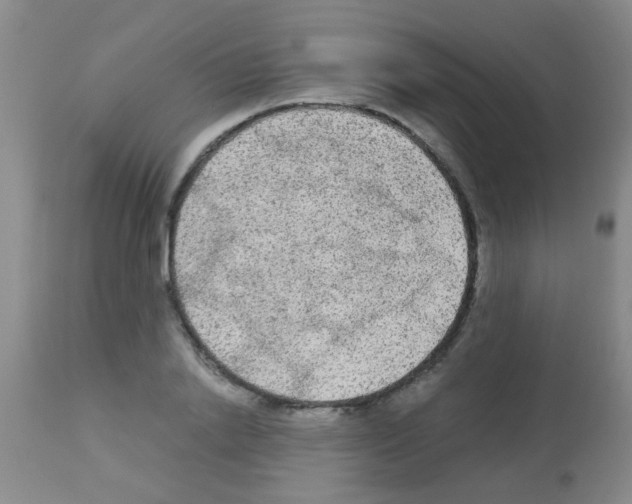 X0000113140838200910161153