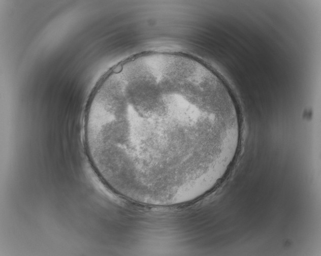 X0000113140840200910161153