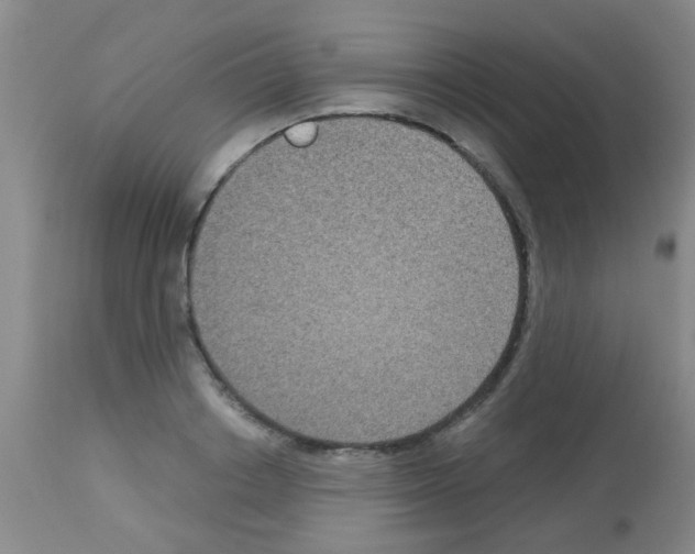 X0000113140842200910161153