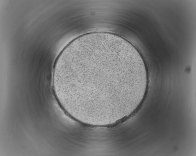 X0000113140844200910161153