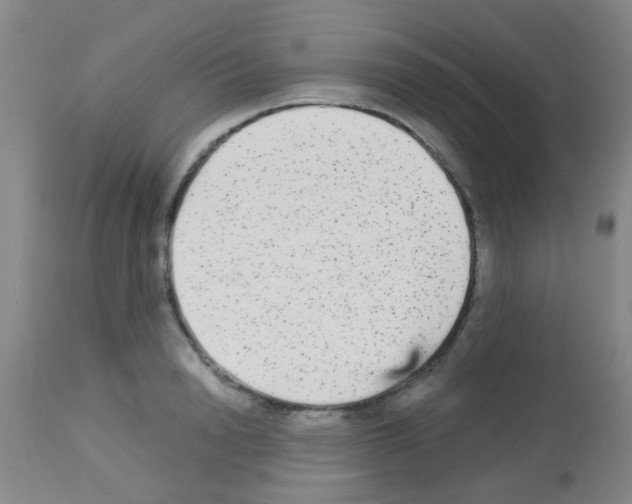 X0000113140846200910161153