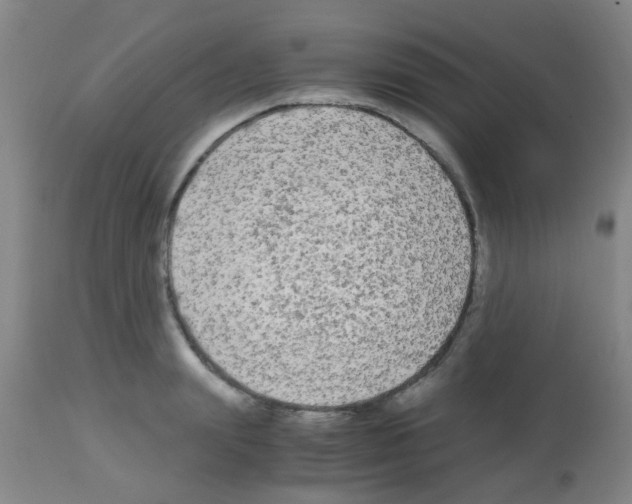 X0000113140847200910161153